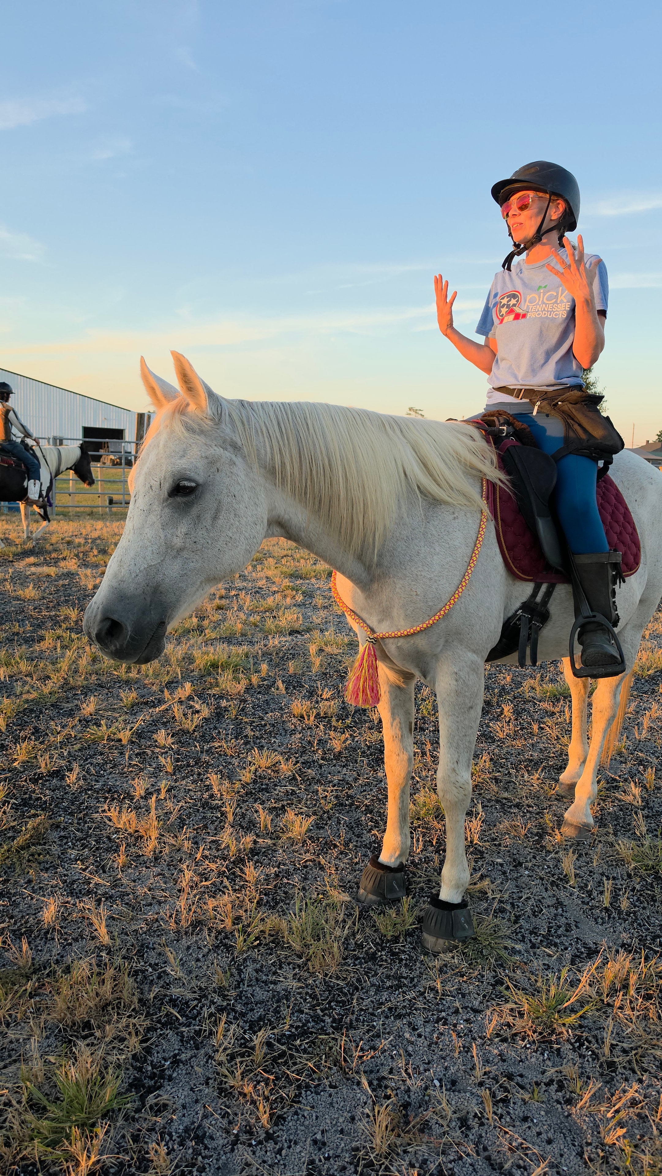 Horse Training