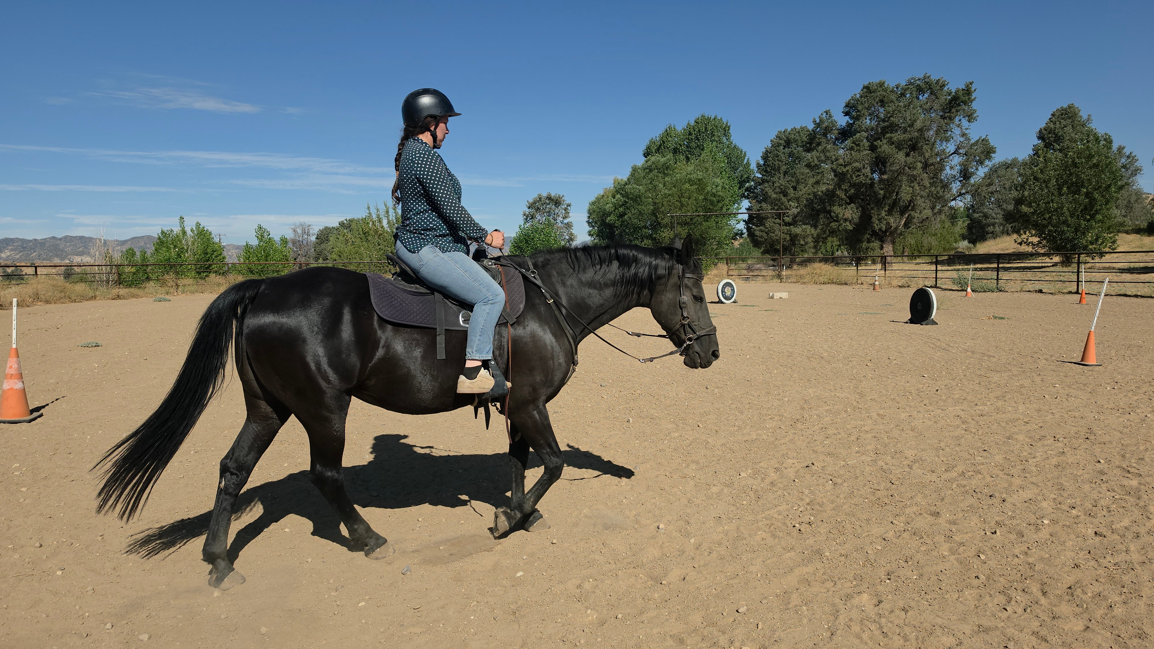 Riding Lessons