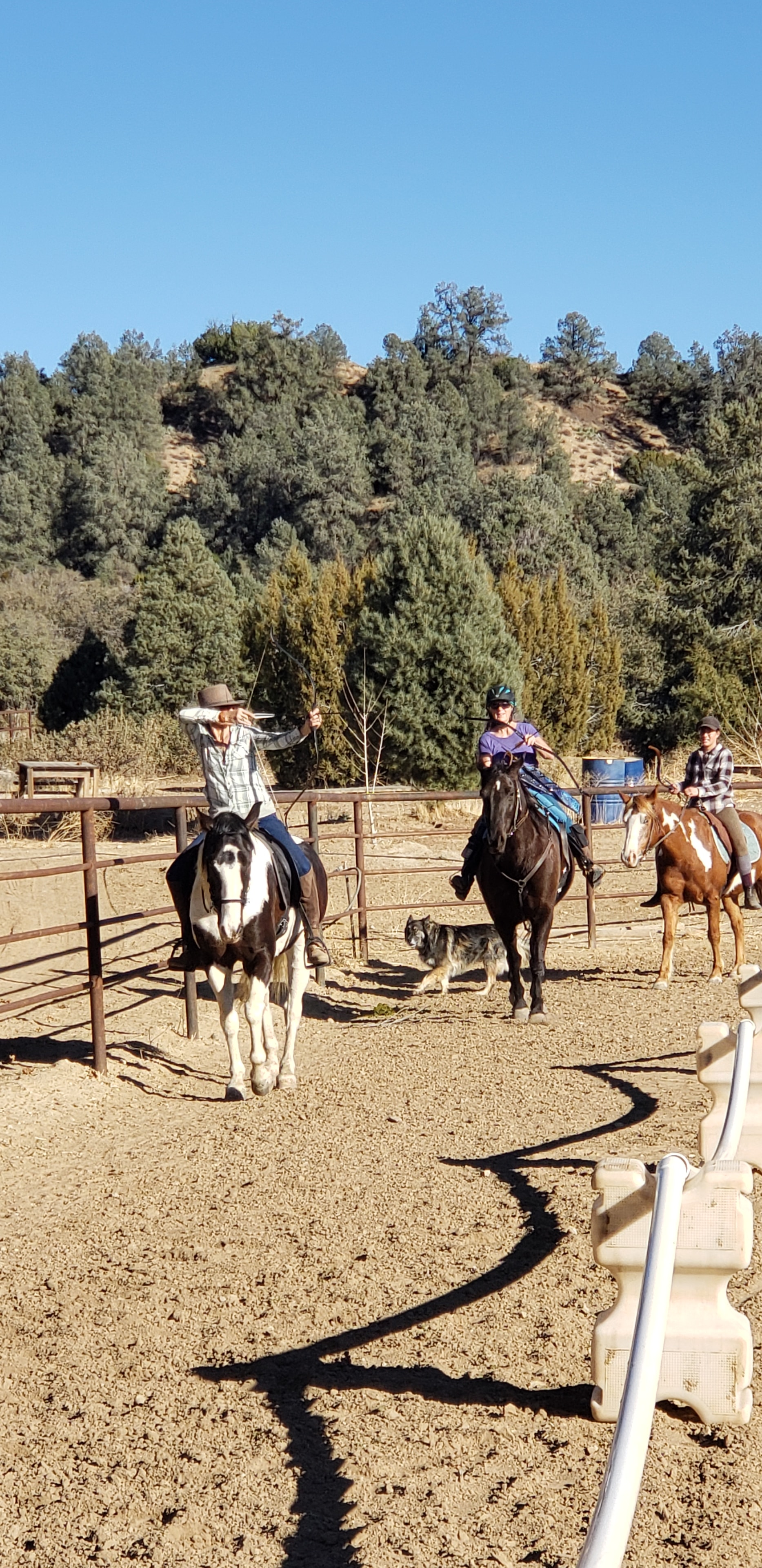 Heather Lomax Horseback Archery on Facebook